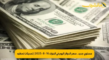 مستوى جديد.. سعر الدولار اليوم في البنوك 16-8-2025 | تحديثات لحظية